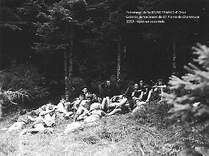COLO JEUNE FRANCE 1953 repos en sous bois